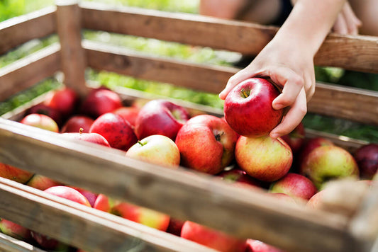 Why apples are so healthy