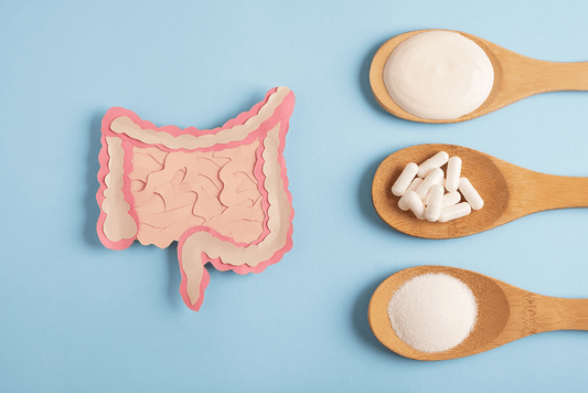 intestinal flora
