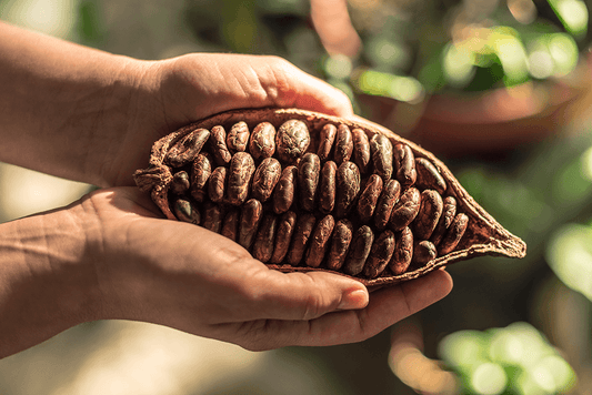 History of cocoa